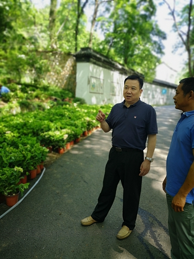 副区长张景新调研风景区四季花海项目建设情况