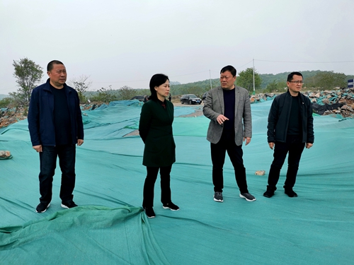 汤洁督查安全生产工作