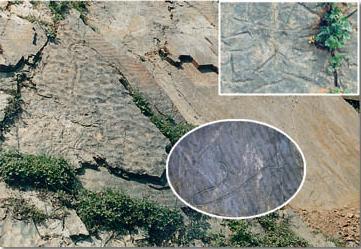 八公山地质构造群